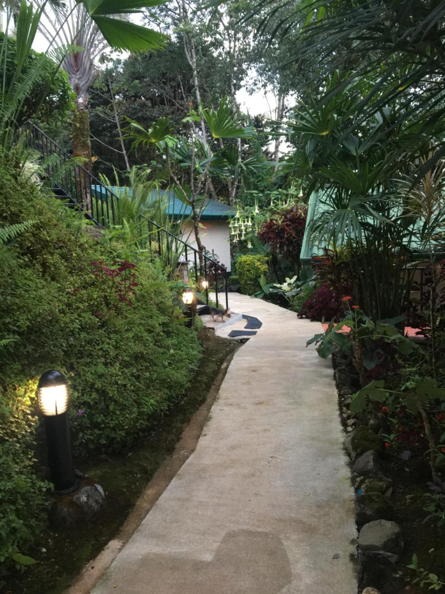 Mango Tree Villas Coronado Bagian luar foto